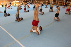 IMG 0610